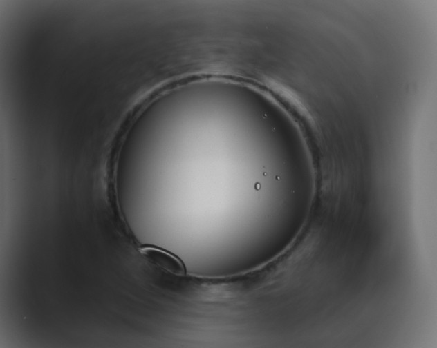 X0000089831264200706281205
