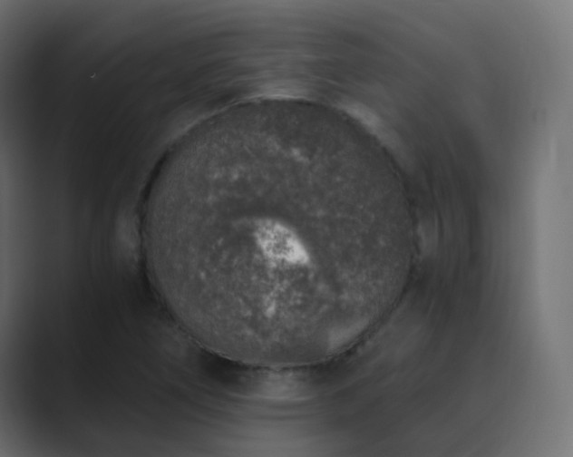 X0000089831266200706281205