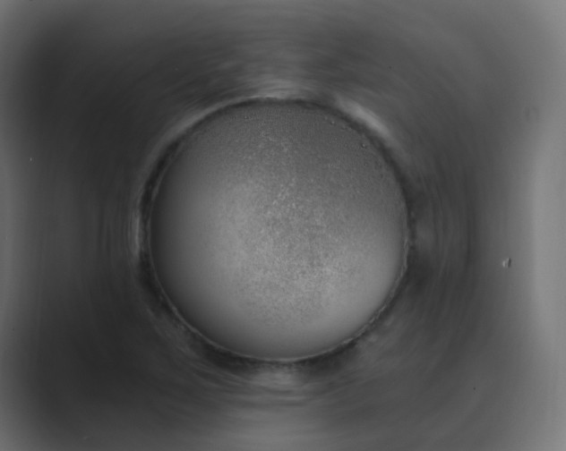 X0000089831267200706281205