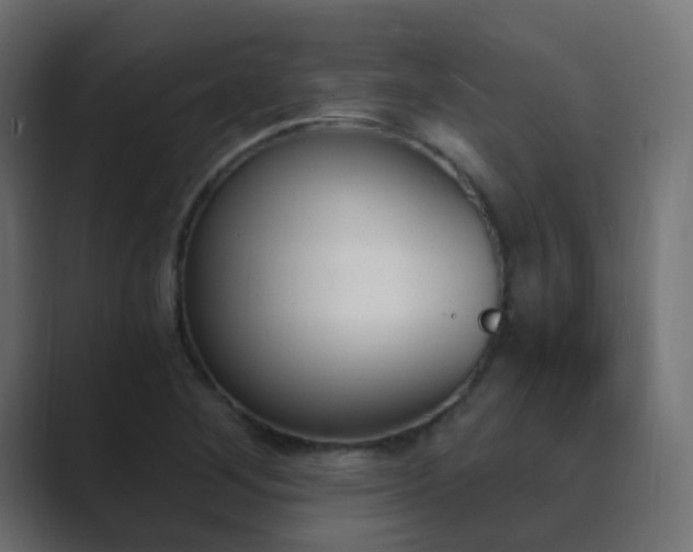 X0000089831268200706281205