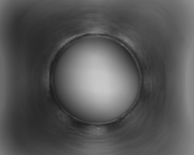 X0000089831270200706281205