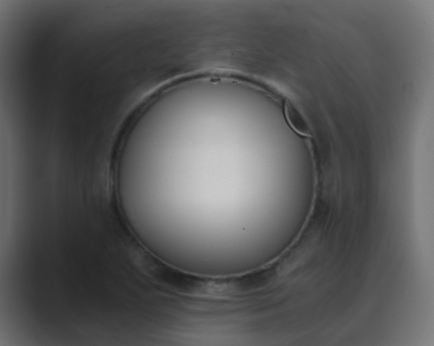X0000089831271200706281205