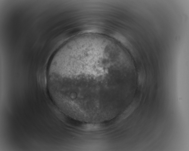 X0000089831274200706281205
