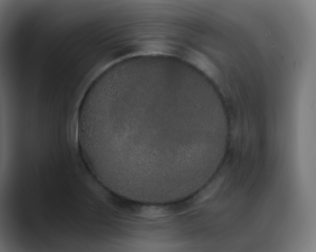 X0000089831275200706281205