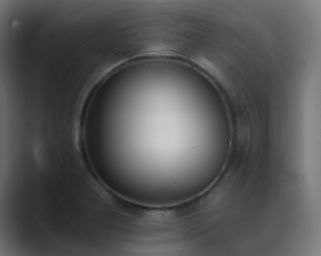 X0000089831277200706281205