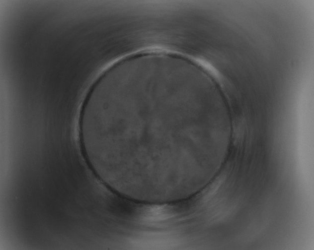 X0000089831279200706281205