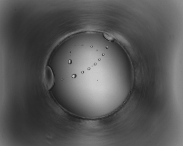 X0000089831280200706281205