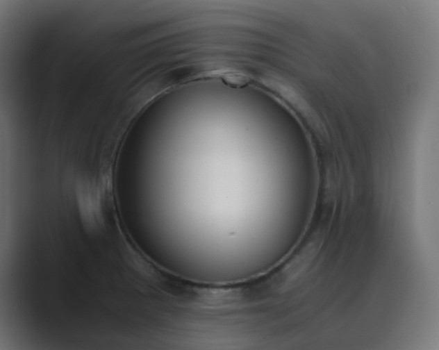 X0000089831281200706281205