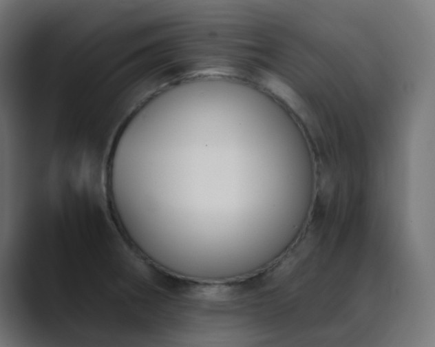 X0000089831282200706281205