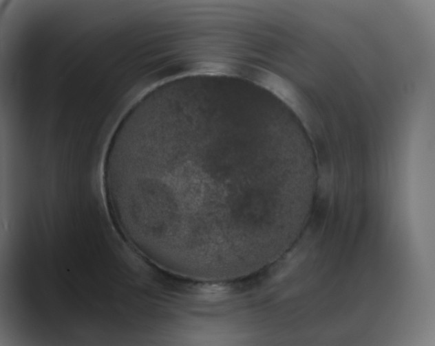 X0000089831283200706281205