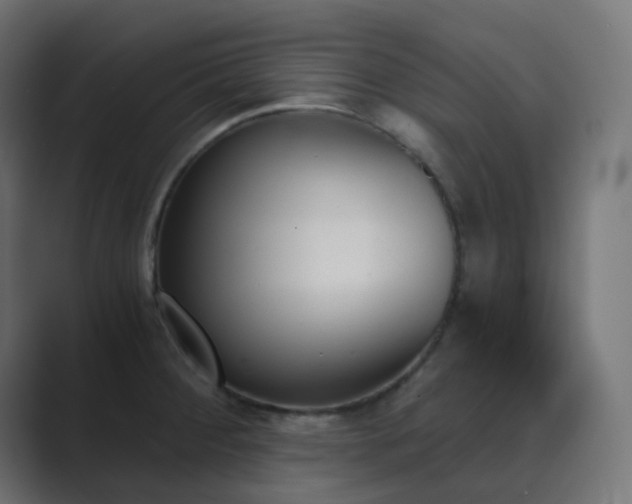 X0000089831284200706281205
