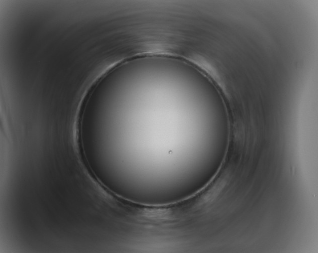X0000089831285200706281205