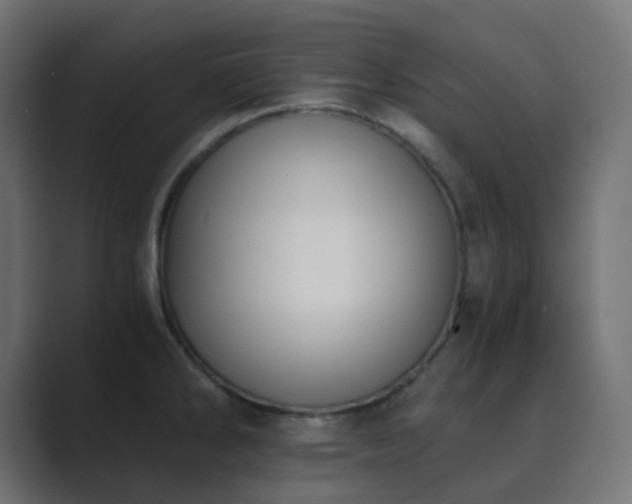 X0000089831286200706281205