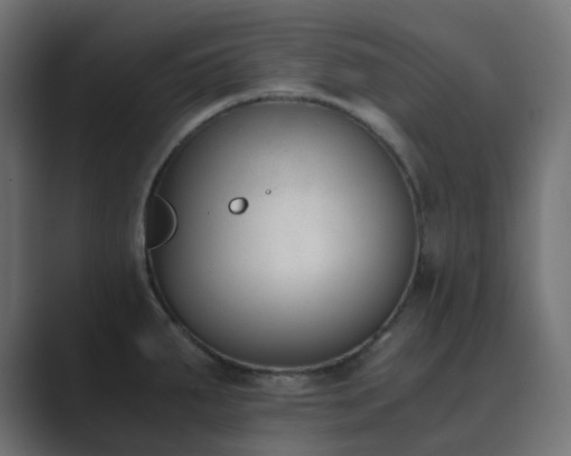 X0000089831287200706281205