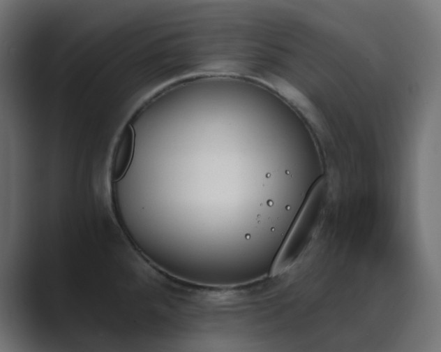 X0000089831288200706281205
