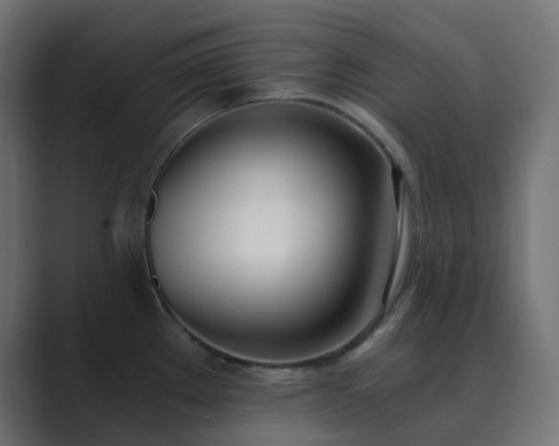 X0000089831289200706281205