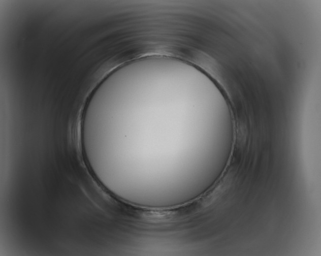 X0000089831290200706281205