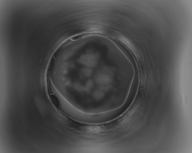 X0000089831291200706281205
