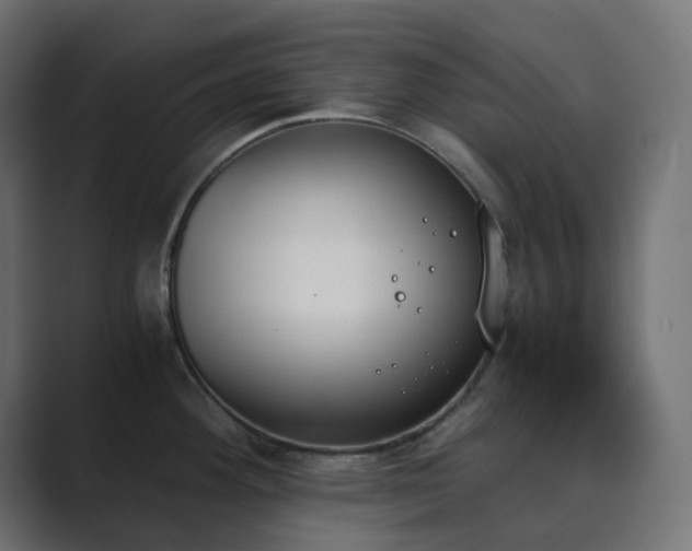 X0000089831292200706281205