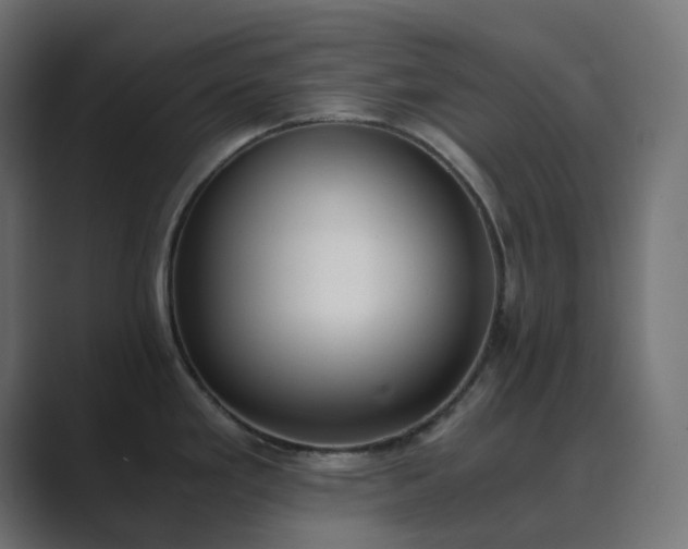 X0000089831293200706281205