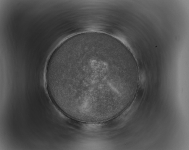 X0000089831294200706281205