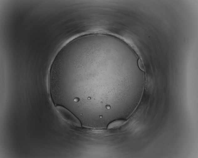 X0000089831295200706281205