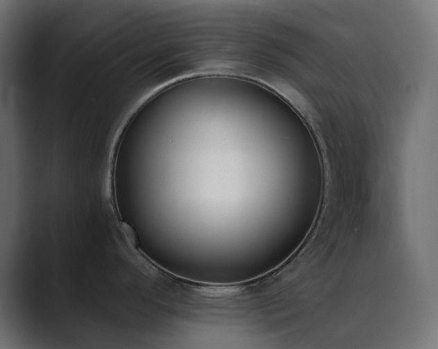 X0000089831296200706281205