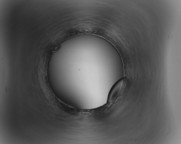X0000089831297200706281204