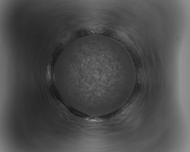 X0000089831298200706281204