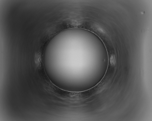 X0000089831299200706281204