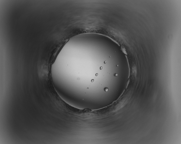 X0000089831300200706281204