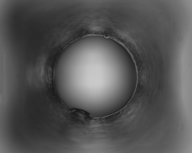 X0000089831301200706281204