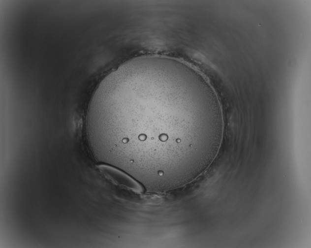 X0000089831302200706281204