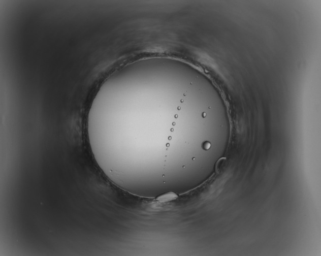 X0000089831304200706281204
