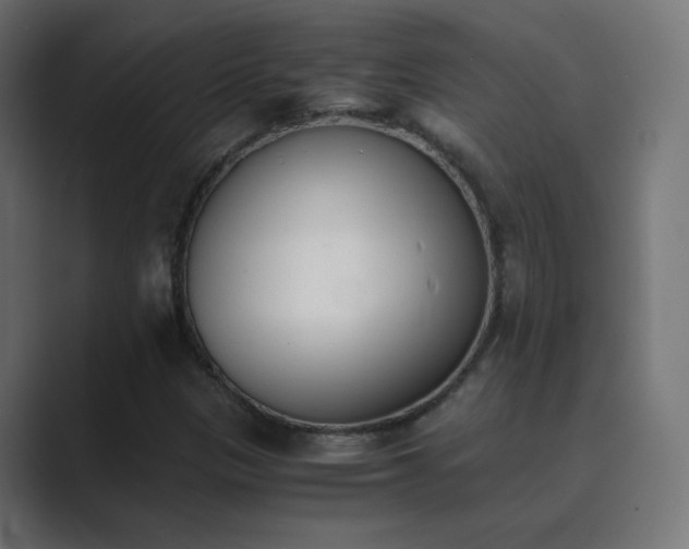 X0000089831305200706281204