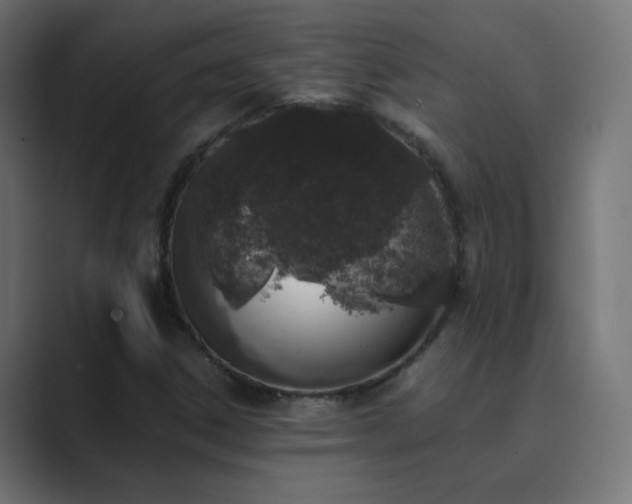 X0000089831306200706281204