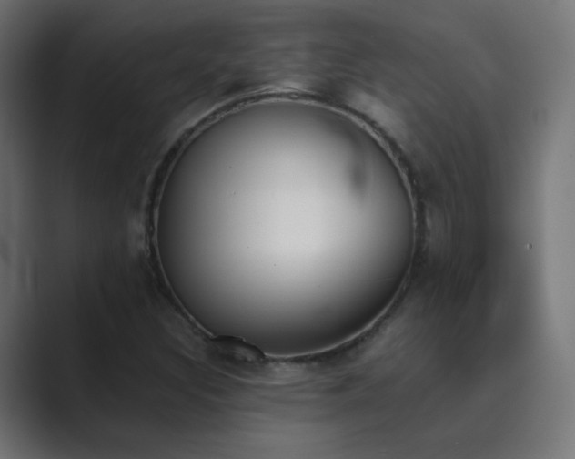 X0000089831308200706281204