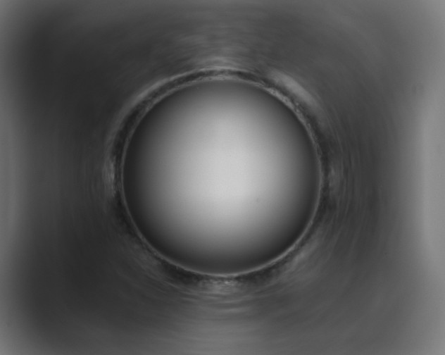 X0000089831310200706281204