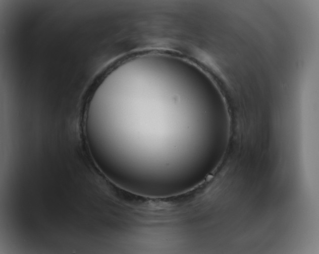 X0000089831312200706281204