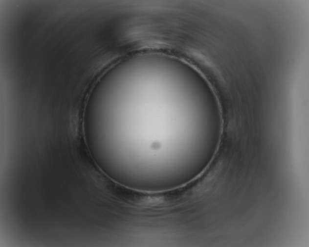 X0000089831313200706281204