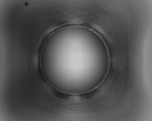 X0000089831315200706281204