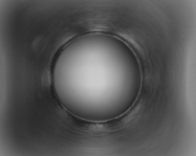 X0000089831317200706281204