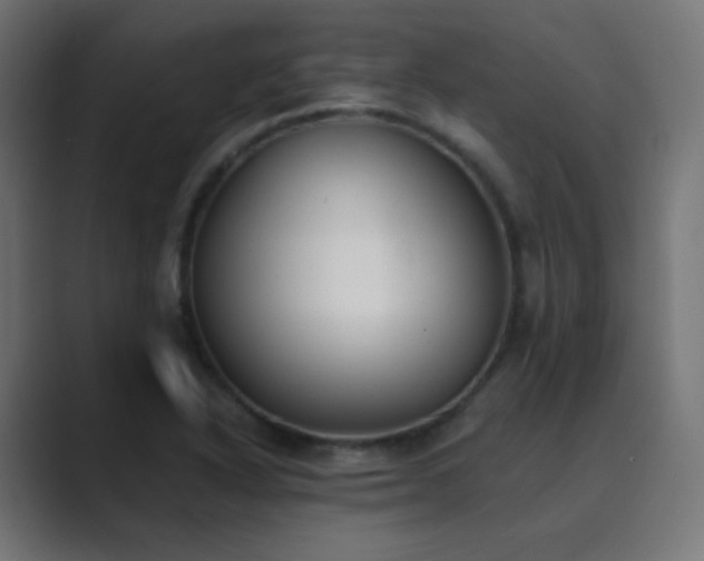 X0000089831318200706281204