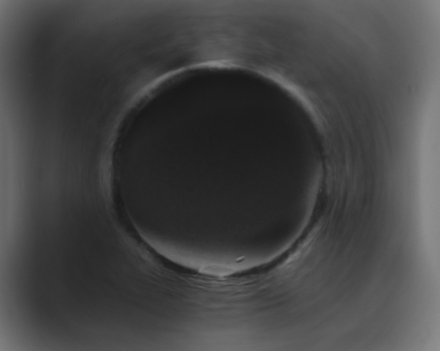 X0000089831319200706281204