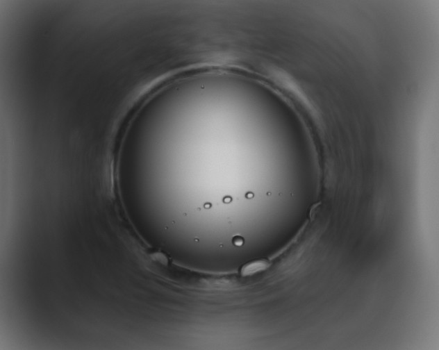 X0000089831320200706281204