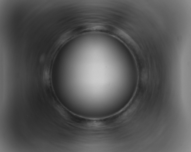 X0000089831321200706281204