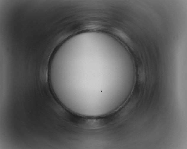 X0000089831322200706281204