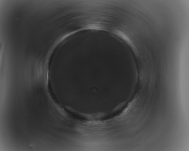 X0000089831323200706281204