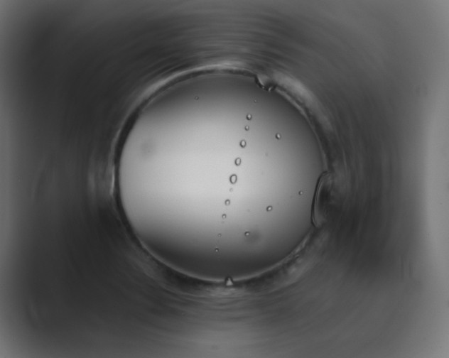 X0000089831324200706281204