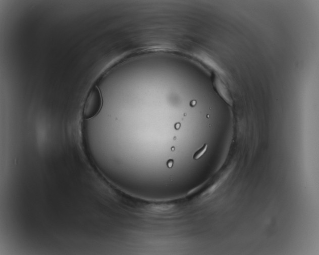 X0000089831325200706281204